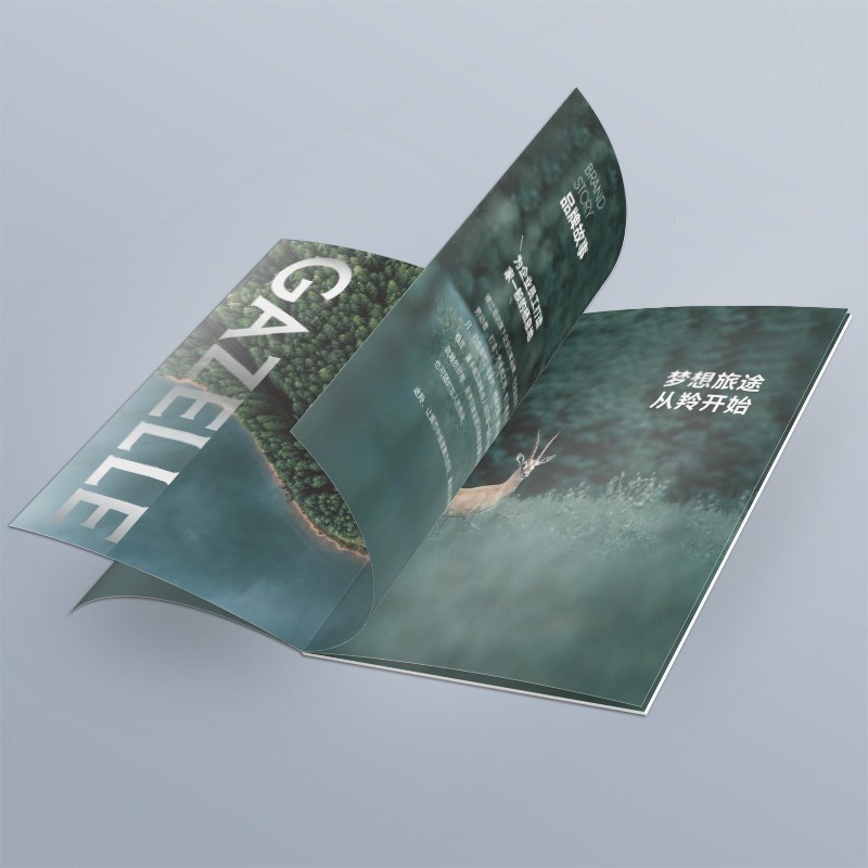創(chuàng)意品牌公司畫冊定制案例鑒賞